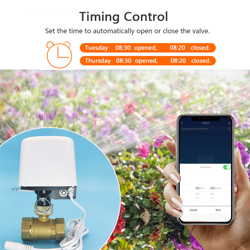 1/2インチ、3/4インチ、1インチ、DN32、DN40、T - Home Assistant Tuya のレビューと価格