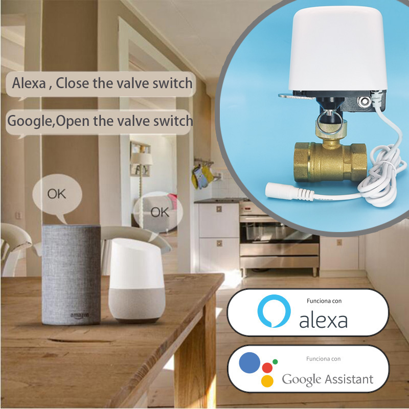 1/2インチ、3/4インチ、1インチ、DN32、DN40、T - Home Assistant Tuya のレビューと価格